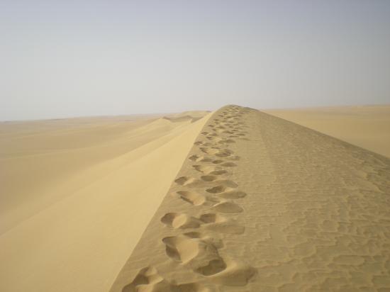 Pyramides 2008